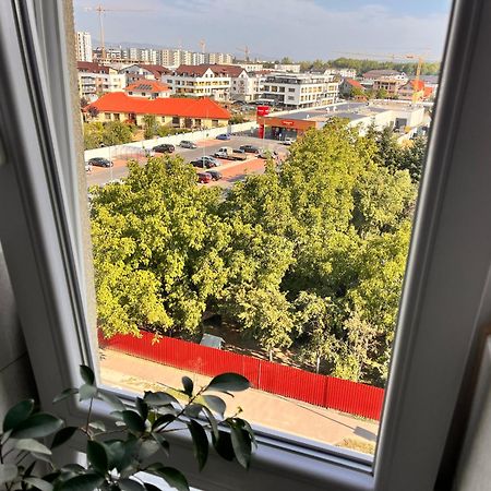 Smart Chic Brasov Appartement Buitenkant foto